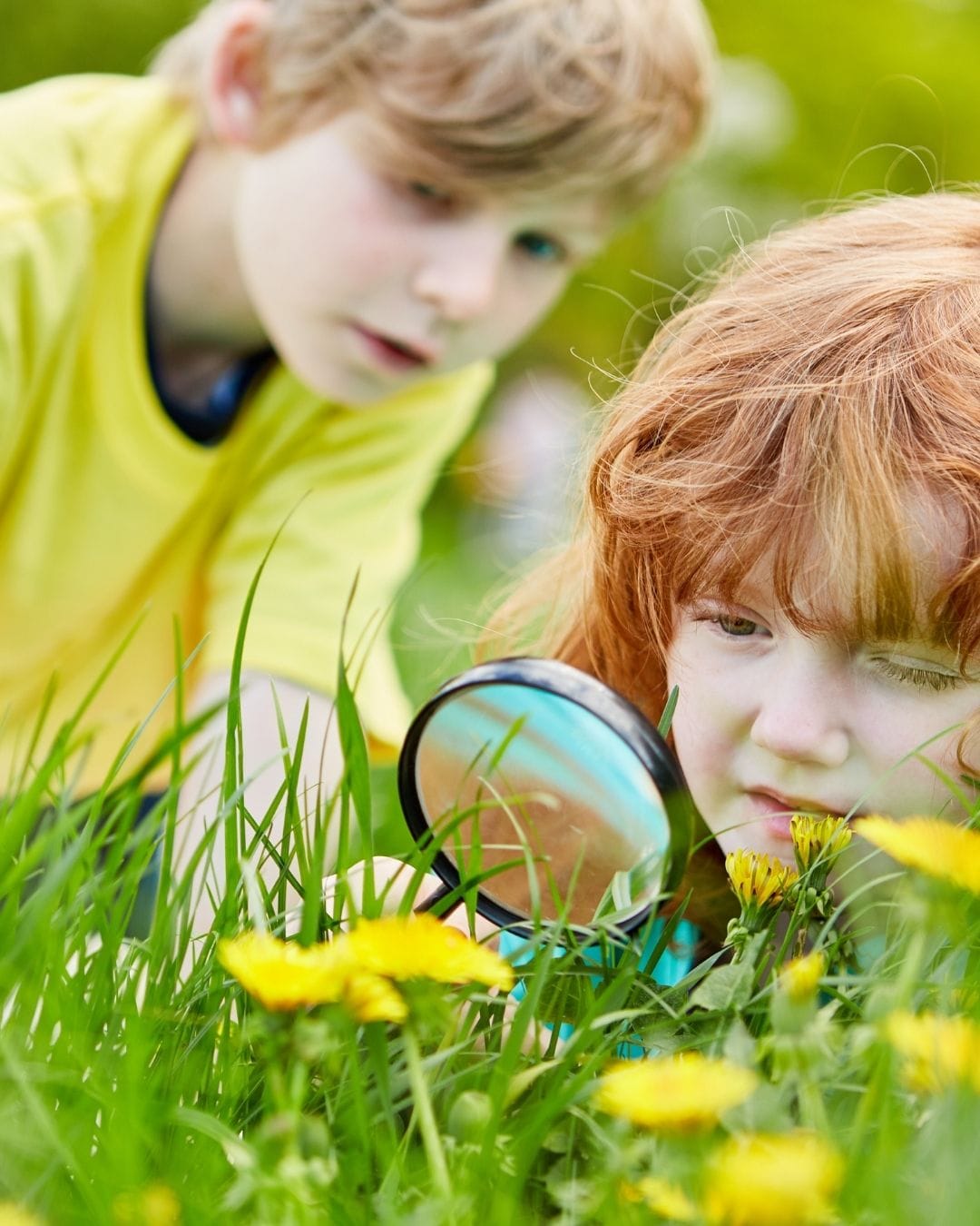Découvrez-nous grâce à nos webinaires gratuits du prologue